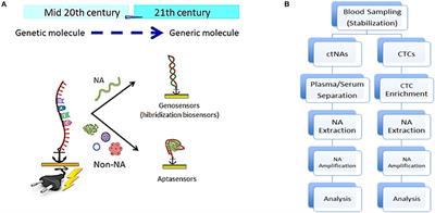 The Translational Potential of Electrochemical DNA-Based Liquid Biopsy